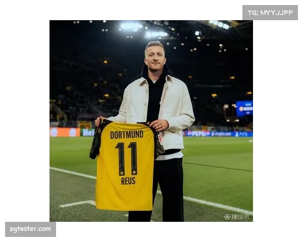 镜头捕捉：威斯特法伦南看台巨型Tifo致敬退役在即的罗伊斯。